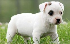 Có 4 dấu hiệu này trong nhà báo hiệu sẽ có tài lộc lớn, đón được vượng khí, tài lộc rực rỡ