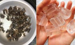 Khi sơ chế cua, đừng quên bỏ thêm hai thứ này vào chậu để tránh bị cua cắp