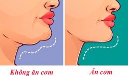 Cách ăn cơm giúp người Nhật Bản sống thọ, không phải ai cũng biết 