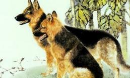 Top 3 con giáp vinh hoa phú quý kéo tới, tài lộc đầy nhà, công việc hanh thông, may mắn phát tài trong 50 ngày tới