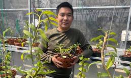 “Báu vật” giữa lòng thủ đô của 8X Vũ Hoàng Anh