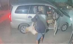 Đánh hẳn ô tô 7 chỗ đi trộm chó, hành vi tàn độc của nhóm 'cẩu tặc' gây phẫn nộ