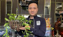 Nghệ nhân Nguyễn Tiệp gợi ý các biện pháp diệt trừ nhện đỏ gây bệnh cho lan