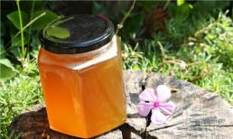 Làm thế nào để phân biệt được chất lượng của mật ong? Chia sẻ 2 mẹo có thể giúp bạn