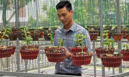 Ông chủ vườn lan 8X Hoàng Ngọc Huyên nổi tiếng ở Hà thành