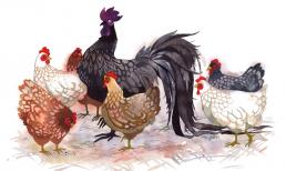 Cuối tháng 3/2021: Được Thần Tài ưu ái, 3 con giáp muốn khổ cũng không được, làm gì cũng hái ra tiền