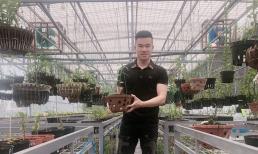 Nghệ nhân Trần Quang Đồng và hành trình với nghề trồng lan