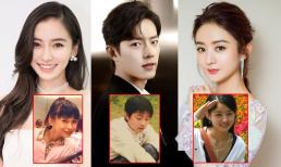 Ảnh thời học sinh của loạt ngôi sao Hoa ngữ: Angelababy kém sắc, Triệu Lệ Dĩnh còn rất trẻ, Dương Tử là hoa khôi học đường 