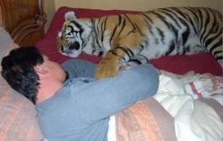 Người xưa thường nói: “Trước khi đi ngủ đừng sờ vào ba thứ, đừng làm ba việc”