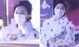 Phạm Băng Băng đầu bù tóc rối, mặc áo lông giả vì thiếu tiền?