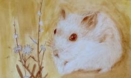 Cuối tuần này, top 3 con giáp ăn nên làm ra, quý nhân chỉ đường dẫn lối, vận khí lên hương, tài lộc bất ngờ