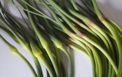 Khi mua rêu tỏi, hãy phân biệt giữa 'đầu đỏ' và 'đầu xanh'! Chênh lệch chất lượng khá lớn, hiểu để không phí tiền