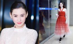 Mang thắt lưng khi mặc váy nhưng Trương Bá Chi vẫn để lộ bụng lùm lùm như mang bầu 5 tháng