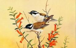 5 năm tới, ba con giáp gặp nhiều may mắn, phát tài phát lộc, giàu sang phú quý, cả đời hạnh phúc!