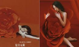 Kaity Nguyễn bị tố đạo nhái nữ minh tinh Cbiz Nghê Ni trong bộ ảnh mừng sinh nhật, cư dân mạng phản ứng thế nào?