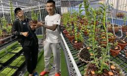 Nghệ nhân Nguyễn Tùng Huy: “Trồng lan mang lại cho tôi nhiều thứ”