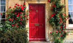 Màu sơn cửa chính phạm đại kỵ phong thủy, hãy tránh xa nếu không muốn triệt đường tài lộc, rước tai họa vào nhà