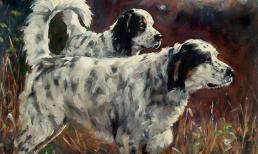 Cuối tuần này, top 3 con giáp được thần tài sủng ái, quý nhân vây quanh, tình tiền đỏ rực, phát tài rực rỡ khiến ai cũng phải ghen tị