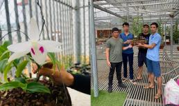 Nghệ nhân hoa lan Bùi Văn Dũng: “Tôi luôn tâm niệm uy tín tạo nên thành công”