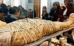 Người sau khi chết, máu sẽ chảy đi đâu trong cơ thể, câu nói của bác sĩ khiến da đầu bạn tê dại