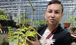 Nghệ nhân Tô Thanh Long và cái duyên với hoa lan