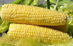 Người muốn sống lâu ở tuổi trung niên phải ăn thêm 3 loại thực phẩm để giải độc, thông ruột, tăng cường thể lực