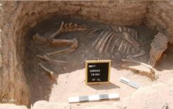 Ai Cập tìm thấy 'thành phố vàng bị mất' 3.000 năm tuổi