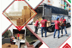  SG moving - Công ty chuyển văn phòng uy tín nhất TPHCM