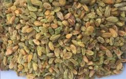 Thực phẩm trái cây có lợi cho sự phát triển trí não của thai nhi