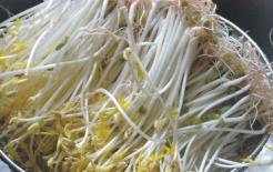 Giá đỗ không ăn được với những thứ này! Biết sớm thì có lợi sớm