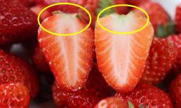 Chọn dâu tây không bị tiêm hormone, nhìn vào vị trí này là bạn sẽ biết, đừng tùy tiện mua sau khi đọc 5 mẹo dưới đây