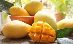 Xoài cũng được chia thành 'đực và cái'? Học 4 bí quyết này sẽ chọn được quả nhiều thịt, ăn có vị ngọt thanh, không bị lừa khi mua 