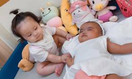 Vừa hội ngộ, bộ đôi nhóc tỳ nhà Mạc Văn Khoa và Pha Lê đã làm netizen phát sốt