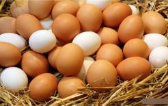 Nếu ăn một quả trứng vào mỗi sáng, cơ thể bạn có thể nhận được 5 lợi ích này!