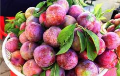 Ăn gì để giảm cân trong mùa hè? Ăn nhiều những thực phẩm này có tác dụng đáng kể