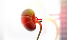 Khi mới có vấn đề về bệnh thận, ba bộ phận trên cơ thể sẽ phát ra mùi đặc biệt, đừng bỏ qua