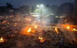 Các đám cháy trong công viên Ấn Độ bao phủ màu trắng và xám! Các cây trong công viên phải đốn để thiêu xác