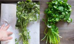 Nhiều người cho thẳng rau mùi vào tủ lạnh bảo sao nhanh héo hỏng, đây mới là cách bảo quản đúng