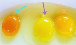 Lòng đỏ trứng gà phải có màu như thế nào mới là trứng tốt cho sức khỏe? 