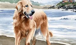 Tử vi tuần tới, top 3 con giáp mở tiệc tưng bừng, quý nhân đưa lối, sự nghiệp phất lên như diều gặp gió, cuộc sống lên hương