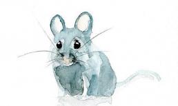 Bước sang tháng 4 âm lịch, Top 3 con giáp phúc lộc dồi dào, thăng quan tiến chức, Thần Tài theo gót, may mắn song hành