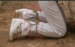 Tại sao tử tù lại buộc dây quần khi bị bắn?