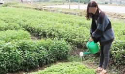 Lần đầu về ra mắt nhà bạn trai, cô gái phải nấu cơm cho cả dòng họ, trưa rửa bát, chiều bị gọi dậy đi lên rẫy vác phân bò trồng rau