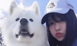 Lợi ích của việc nuôi một con chó đực, không có gì lạ khi các cô gái thích nuôi