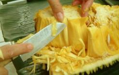 Dù mít ngon nhưng bạn cũng nên chú ý những cấm kị khi ăn mít, nếu không sẽ trở thành 'tội đồ'