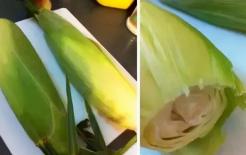 Lò vi sóng chỉ có thể dùng để hâm nóng thức ăn? Đó là vì bạn đã bỏ qua 99% tính năng khác của nó