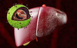 Thủ phạm của bệnh gan đã được tìm ra! Lời khuyên của bác sĩ: nếu bạn kiên trì thực hiện những điều này, sớm hay muộn gan sẽ khỏe mạnh hơn 