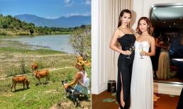 Thấy em gái khó chịu khi một hot girl hỏi khoai lang 'mọc ở trên mặt đất à', Hà Anh bình luận gây chú ý