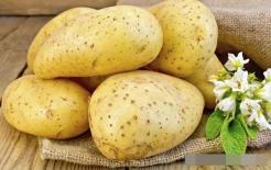 Lời khuyên: Đừng bỏ thứ này vào khi xào khoai tây, giờ biết cũng chưa muộn