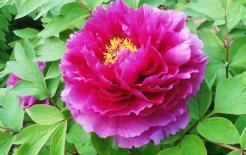 Những đứa trẻ sinh vào 7 ngày âm lịch dưới đây chắc chắn là 'con giáp' sẽ có nhiều hứa hẹn trong tương lai!